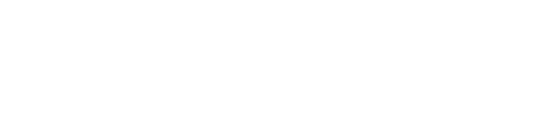 Vibrant Tech Labs